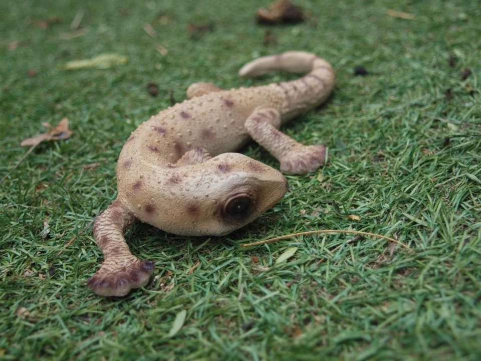 Geckos Deko Figur Reptilien Echse 2 im SET lebensecht wetterfest Eidechse Neu - Bild 4 von 4