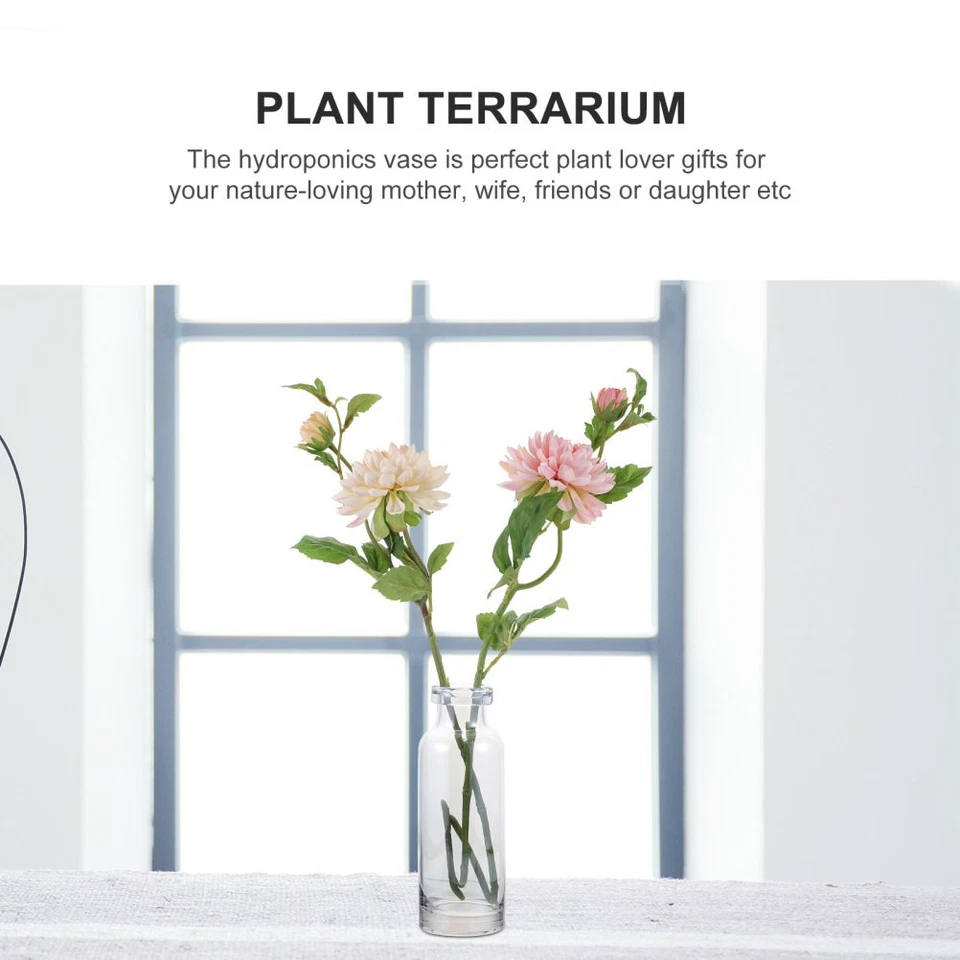  Übertopf Glas Hydroponische Vase Hydroponik -Vase Heimdekoration - Bild 4 von 4