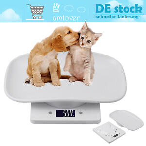 Featured image of post Ebay Babykatze Zobacz wybrane przez nas produkty dla has a babykatze