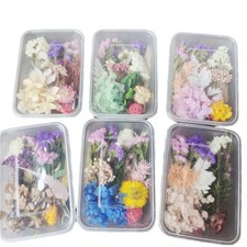 1 Box Random Mixed Varieties Colors Dried Craft Flowers Colorful DIY Material