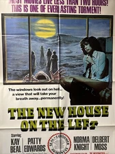 THE NEW HOUSE ON THE LEFT 1975 27x41 1-sheet aka Last Stop on the Night Train💀