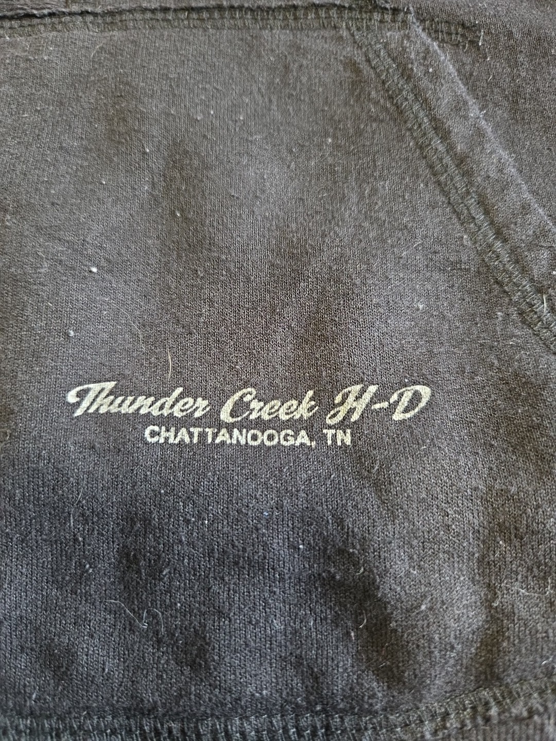 Harley Davidson Hoodie Womens L Thunder Creek Chattanooga TN USA Gray VTG image 2