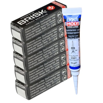 5x BRISK Zündkerzen + LIQUI MOLY Fett für 100 C4 80 B4 A2 A3 A4 B5 B6 B7 A6 C5