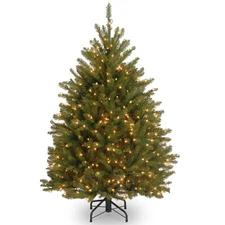National Tree Company Pre-Lit Artificial Mini Christmas Tree Green Dunhill Fir--