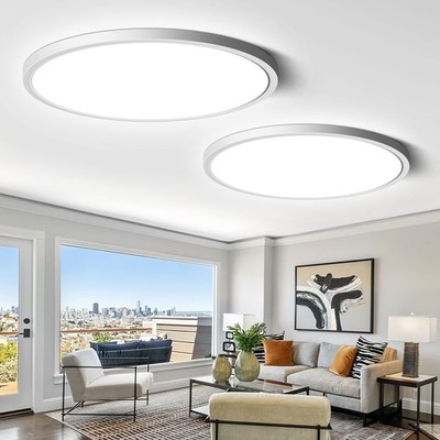 2 Pack 12 Inch LED Flush Mount Ceiling Light Fixture, 5000K Daylight White, 24W