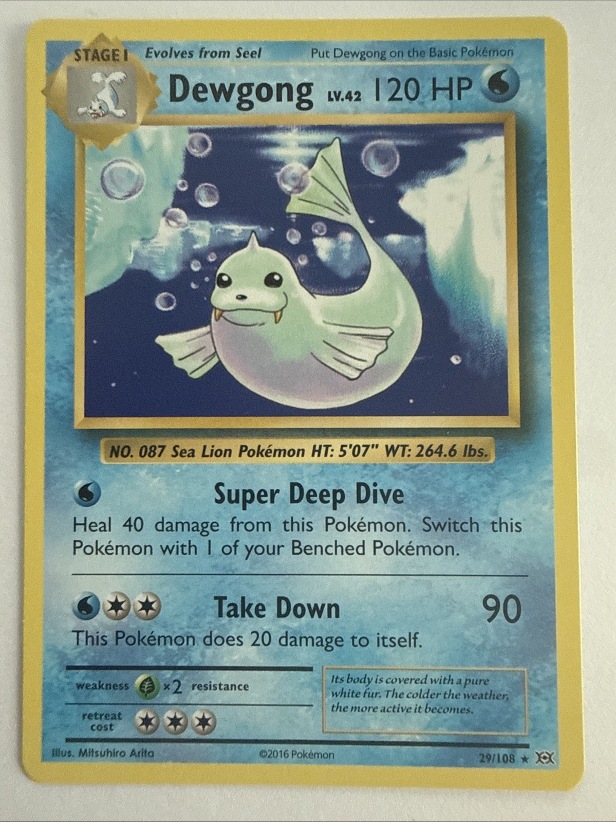 Dewgong 29/108 Evolutions Regular