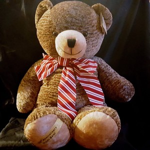 teddy's teddy 100th anniversary