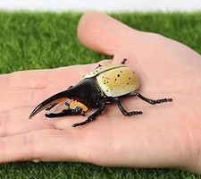 Hercules Beetle Insect Animal Figure Toy PVC Doll Small Figurine Birthday Gifts