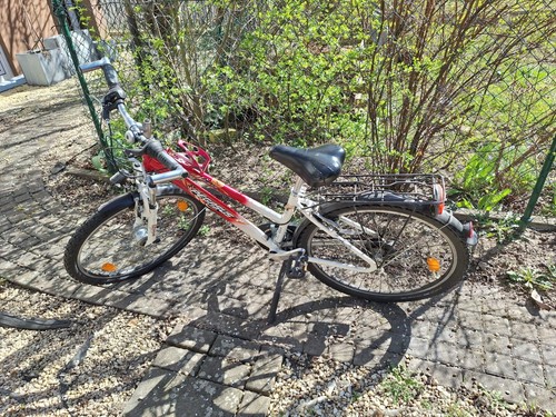 Fahrrad 26 Zoll Kinderfahrrad, Pegasus