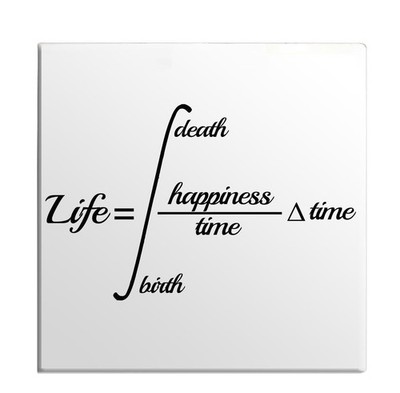Equation Of Life Math Happiness Awesome Idea Gift Refrigerator Fridge Magnet
