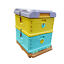 thumbnail 8  - Super Beekeeping House Box Brood Bees Hives Honey For Beehive Frame Beekeeper US