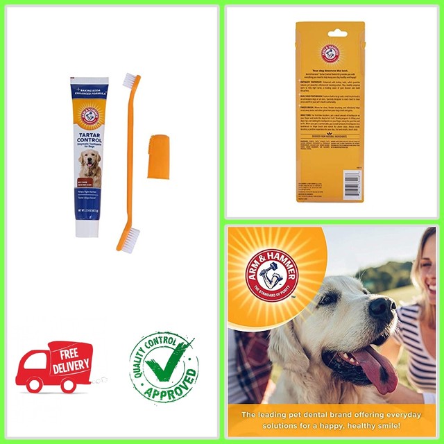 arm & hammer dog toothpaste