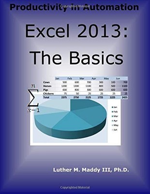 EXCEL 2013: THE BASICS By Maddy Luther M. Iii **BRAND NEW**