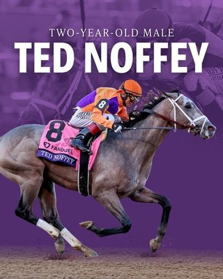 Horse racing photo, stallions,thoroughbreds ascot, breeders cup,farms, cup