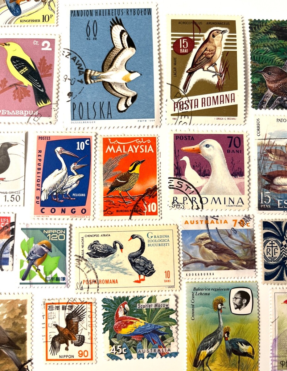 25 Stamp BIRD Fun Pack // Random Lot of 25 Premium World Bird