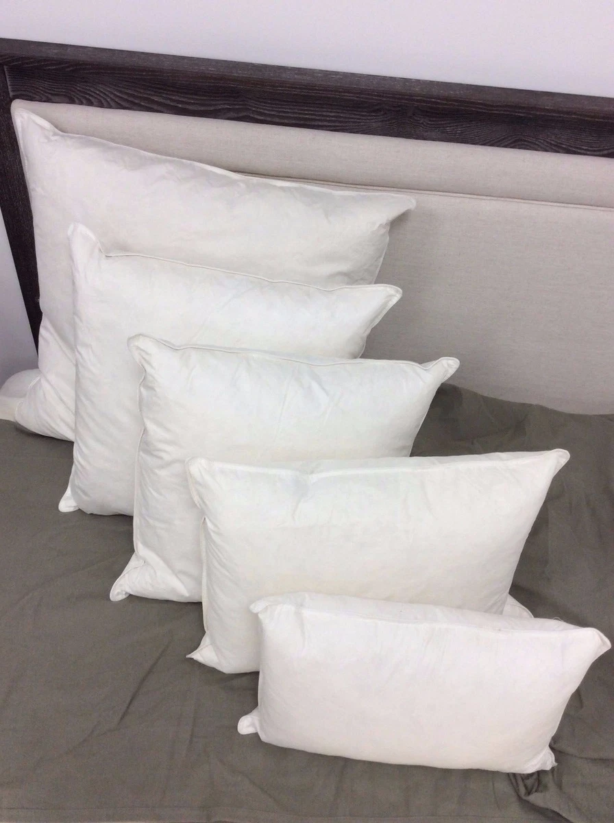 Pillowtex Pillows