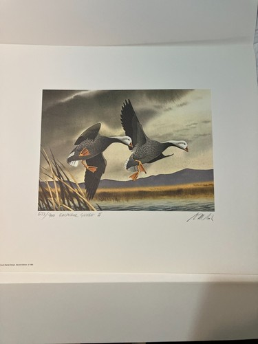 RW39 1972 BUND ENTE BRIEFMARKENDRUCK Kaiser Gänse von Koch - Bild 1 von 5