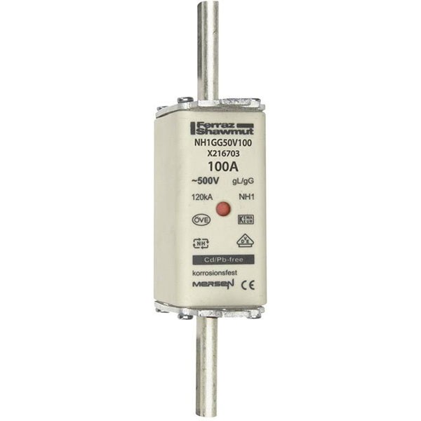 MERSEN NH1GG50V100 Fuse - Image 2