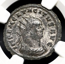  on The Hot Collector