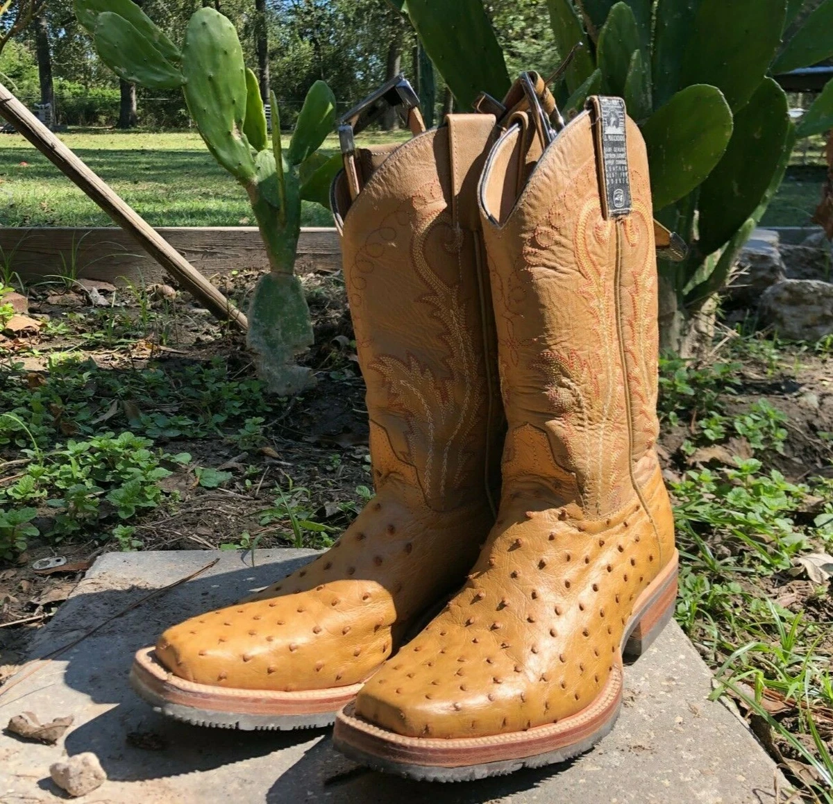 El Malcreado Ostrich Handmade Kids or Womens Boots With Belt Genuine Leather