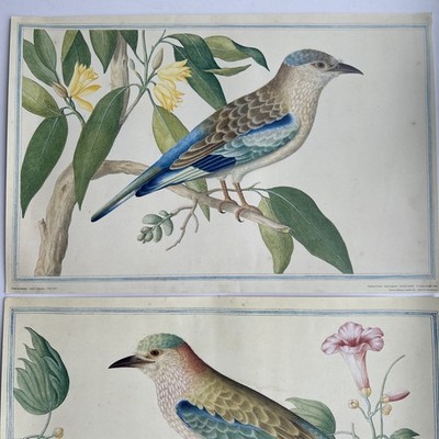 Vintage Set 2 x Jay Prints von Pieter de Bevere Porter Design 1990