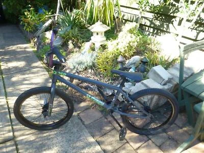mongoose subject 2011