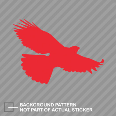 Eagle Sticker Die Cut Decal bird accipitridae #3