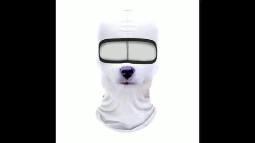 Animal Ski Face With Ears Music Festivals Raves Ski Halloween Party Riding mask - Video 1 of 1
