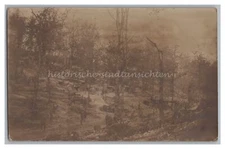 1st World War II Position Trenches 1916 - Shattered Forest - Old Photo 1910s