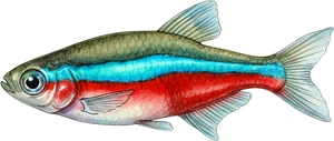 Neon Tetra Fish Self Adhesive Vinyl Sticker