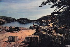 85 ILE D YEU LE PORT DE LA MEULE