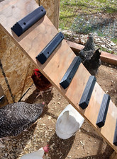 Chicken Coop Ramp Ladder Steps 3 Included Easy Install