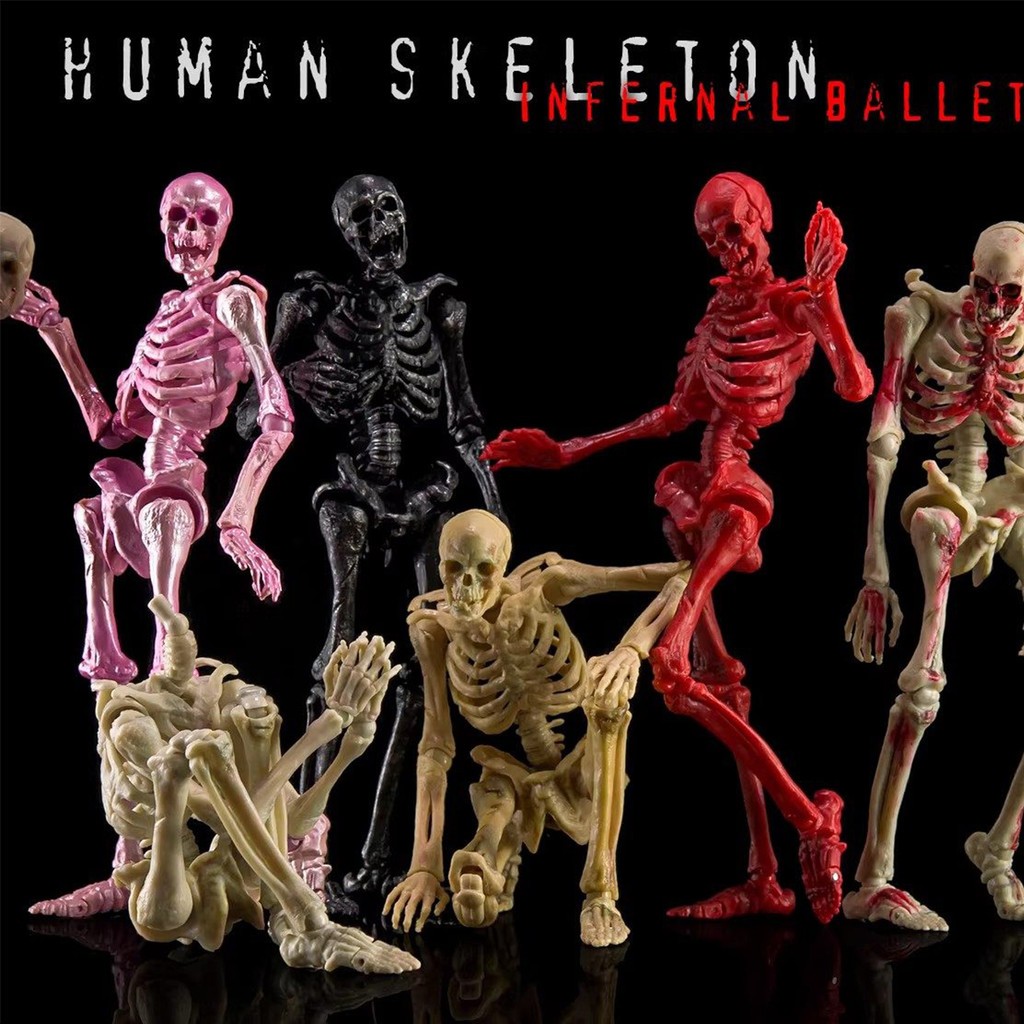 HIPLAY KEEPGOING Biology Classroom Human Skeleton Articulated