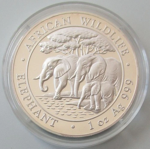 Somalia 100 Shillings 2013 Elephant 1 oz Silver Proof