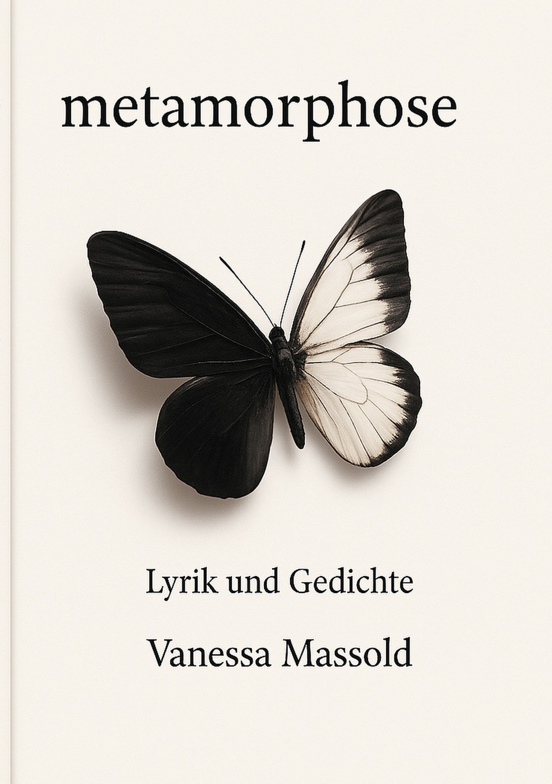 metamorphose Vanessa Massold - Bild 3