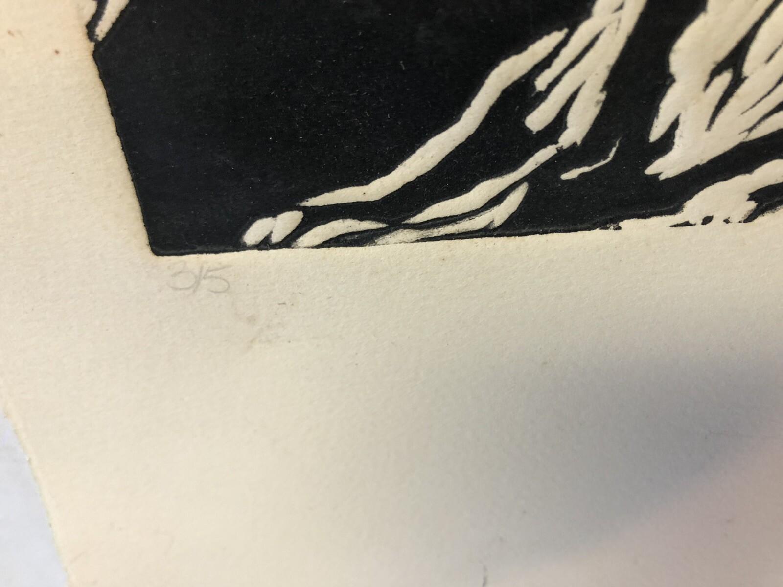 Picture 4 of 5