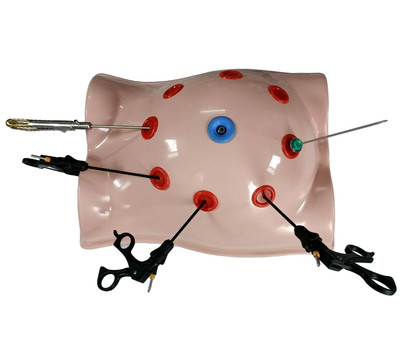 Laparoscopic Simulator Box Surgery Training Trainer Grasper Instruments Set 12Pc