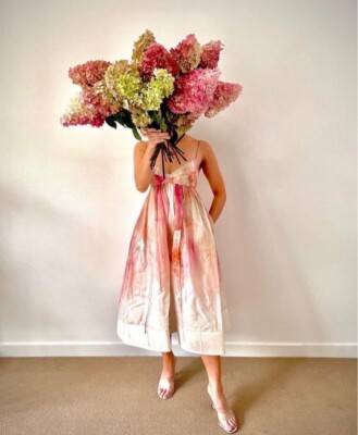zimmermann dancer midi dress NWOT $1,150 Zimmermann Dancer Ombre Empire Silk Linen Organza Midi Dress  AU2 M