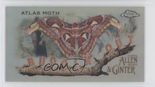 2020 Topps Allen & Ginter Chrome Mini Buggin' Out! Atlas Moth #MBOC-7 9r7