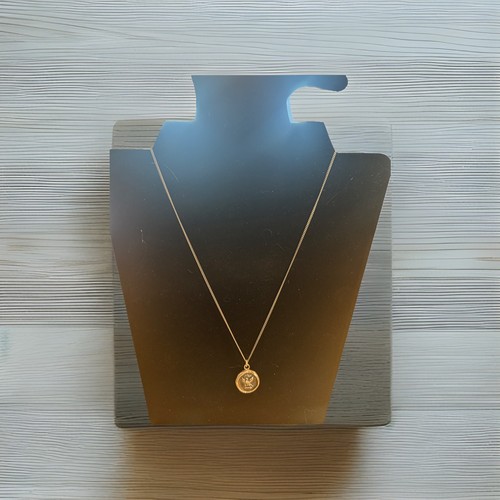 Retired Pyrrha Pendant “Never Settle”