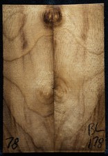 Bay Laurel Burl #178 Knife Scales 5"x 1.7"x 3/8"