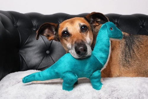 Fluff and Tuff Ross Brachiosaurus Plush Dog Toy - Picture 5 of 6