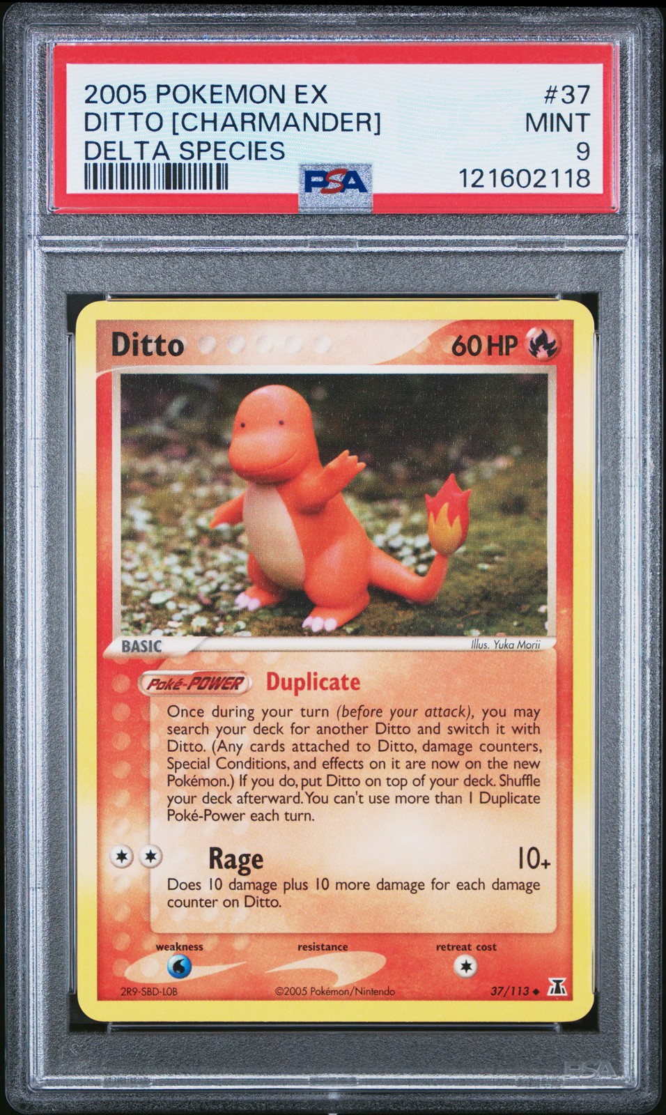 2005 POKEMON EX DELTA SPECIES #37 DITTO [CHARMANDER] PSA 9