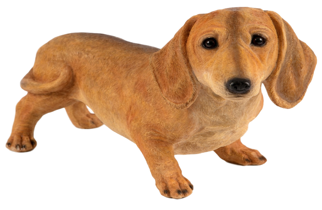 Dachshund Garden Ornament Resin Statue Home Décor Frostproof Realistic Extra Lar