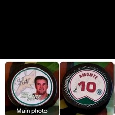 TONY AMONTE #10 PHOENIX COYOTES NHL NHLPA MADE IN 🇨🇳 VINTAGE PUCK STAMPED SIG!