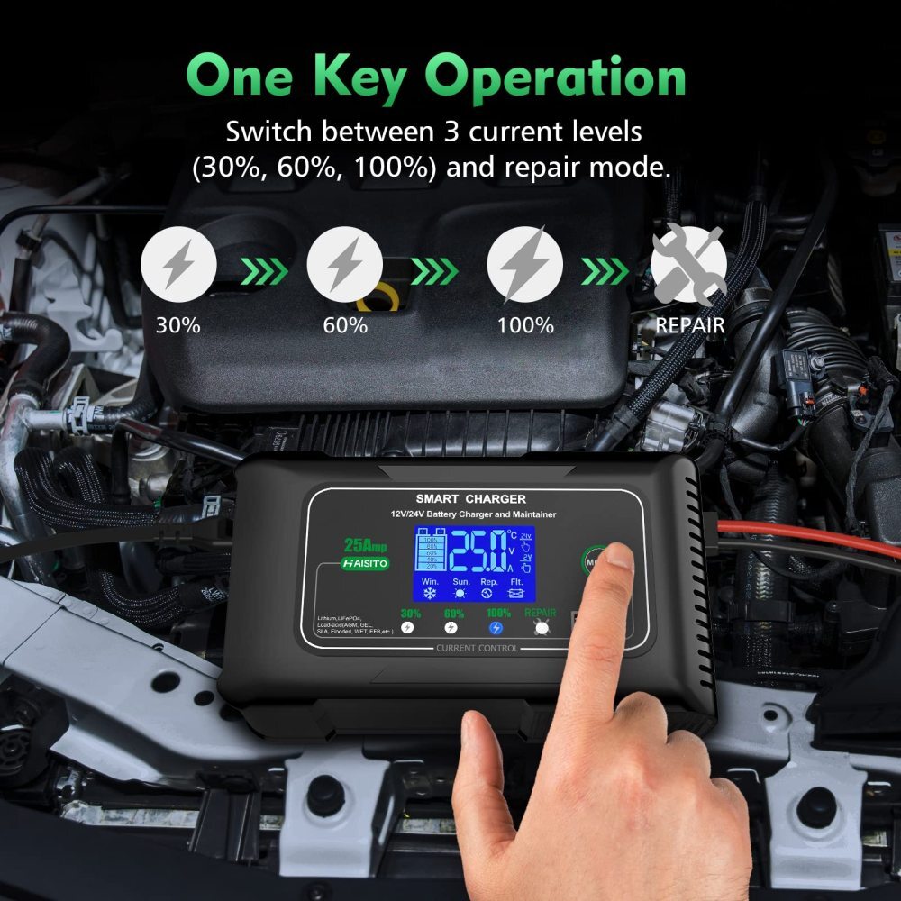 Caricabatterie LiFePO4 Da 58,4V 25A Per Caricabatteria Al Litio Ferro Fosfato Da 48V (51,2V) Con Ricarica Rapida Protegge La Batteria - Foto 7