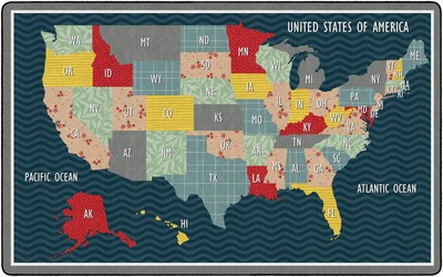 Flagship Carpets United States Collage Map Multicolor Area Rug for Classroom,...