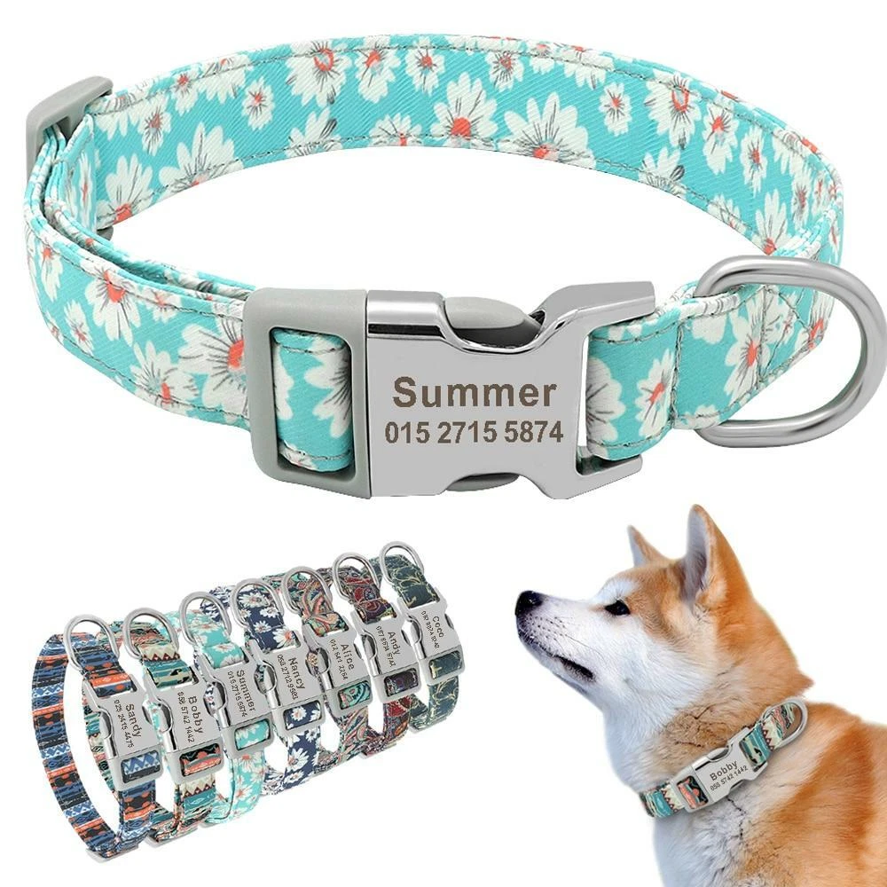 Fashionable top cat collars