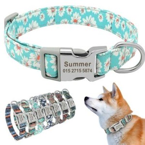 funky cat collars