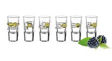 6 Schnapsgläser Tequilagläser mit Sprüchen Schnaps Shots Stamper Wodkagläser
